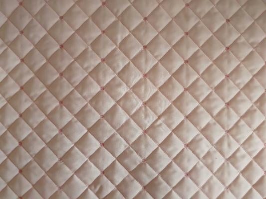 1000rpm 2 Reihen computergestützte Mehrnadel-Kleidungsstücke Quilting-Maschine